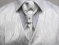 Preview: Plastron (Krawatte) mit Einstecktuch