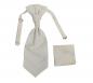 Preview: Plastron (Krawatte) mit Einstecktuch