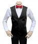 Preview: Herren Hochzeit Weste Slim Fit mit Rote Fliege