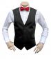 Preview: Herren Hochzeit Weste Slim Fit mit Rote Fliege
