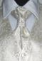 Preview: Plastron (Krawatte) mit Einstecktuch