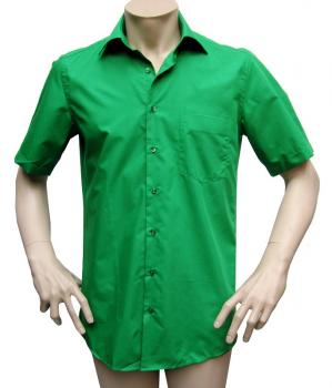 Herren Kurzarm Hemd Regular Fit