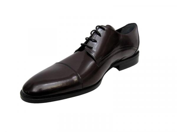 Elegante Herren Lederschuhe